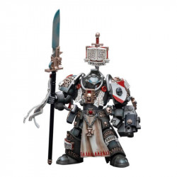 W40K - Figurine Joy Toy : Grey Knights Terminator Jaric Thule