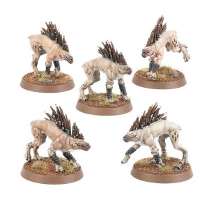 Warhammer 40K : T'Au Empire - Kroot Hounds