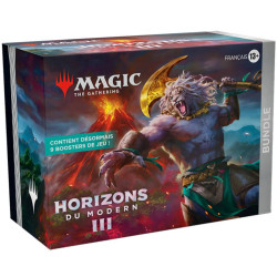 Magic : Horizons du Modern 3 - Bundle FR