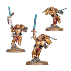 Warhammer 40K : Blood Angels - Sanguinary Guard