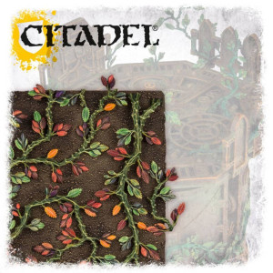 Citadel : Creeping Vines