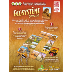 Ecosystème - Savane